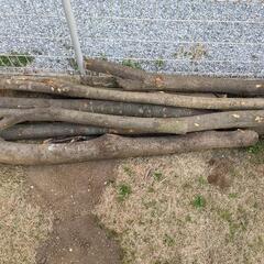 【広葉樹MIXおまけ付き】軽トラ1台分