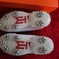 ナイキゴルフ エアズームタイガーウッズ20