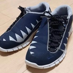 NIKE AIR FOOTSCAPE フットスケープ  ハイテク...