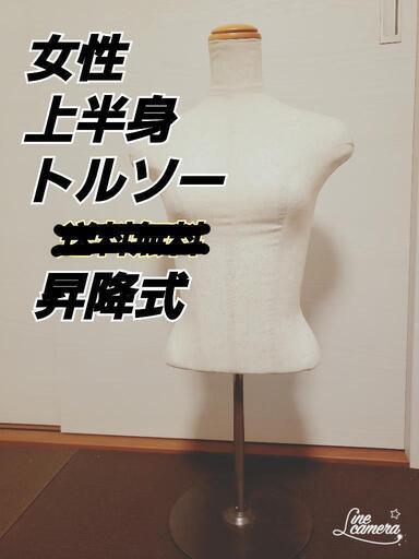 女性　上半身　トルソー　マネキン