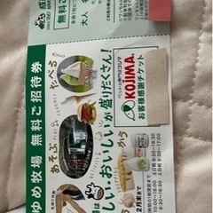 成田ゆめ牧場 無料ご招待券 最終値下げ！