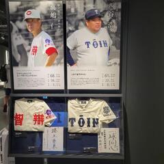 高校野球好きな人(´・∀・)