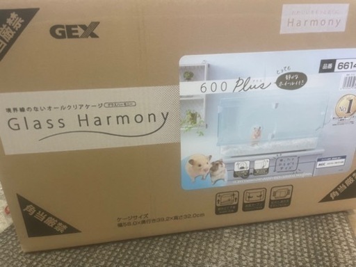 グラスハーモニー600 新品