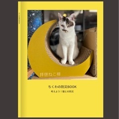3/2(土)阿佐ヶ谷の保護猫カフェで「考えよう！猫と防災イベント」 - イベント