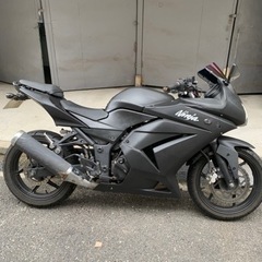 【ネット決済】Ninja250R 軽自動車興味あります