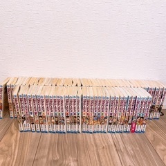 ONE PIECE 75巻セット