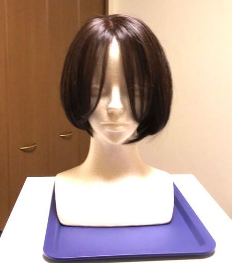 【未使用】医療用ウイッグ お手入れセット付き