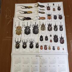 昆虫カレンダー