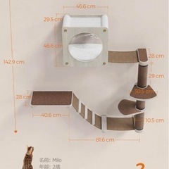 壁掛け式　キャットタワー　キャットウォーク　おしゃれ　運動　猫ハウス　爪とぎ