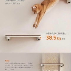 壁掛け式　キャットタワー　キャットウォーク　おしゃれ　運動　猫ハウス　爪とぎ