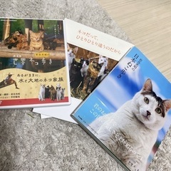 岩合光昭　日本ねこ歩き、世界ネコ歩き　DVD、写真集