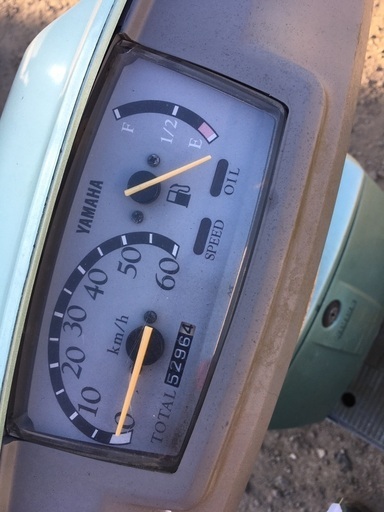 そのバイク屋大丈夫ですか？ミント 足つき良好48kg 燃費76km 防波堤のつり パールグリーン エンジン実働 旧原付「原付バイク」 そのバイク屋大丈夫ですか？ミント 足つき良好48kg 燃費76km 防波堤の