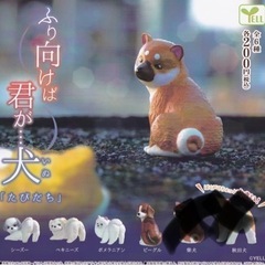 決まりました✨ガチャガチャ　犬　✨新品未使用✨