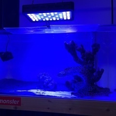 LEDライト　サンゴ飼育用