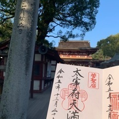 神社、お寺巡ってみませんか？⛩🚶‍♀️