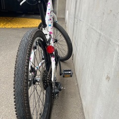 手渡し可能 子供用自転車 MARIN DONKY Jr. 22インチ