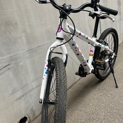 手渡し可能 子供用自転車 MARIN DONKY Jr. 22インチ