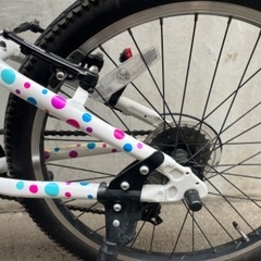 手渡し可能 子供用自転車 MARIN DONKY Jr. 22インチ