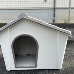 小型犬　犬小屋