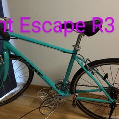 クロスバイク　Giant Escape R3 MS (Green)