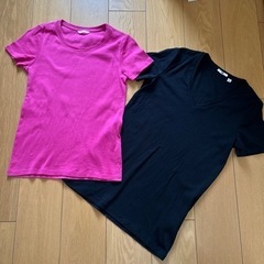 【決定】ユニクロ　半袖Tシャツ　２枚　レディースMサイズ