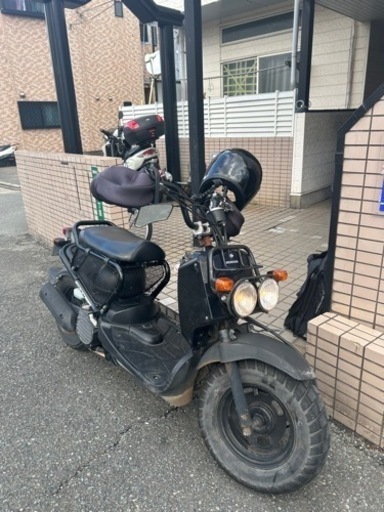 ズーマー50
