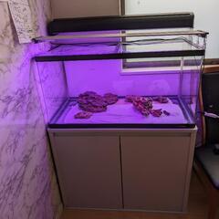 90cm水槽（一式）