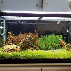 90cm水槽（一式）