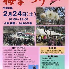 保土ケ谷公園梅まつり