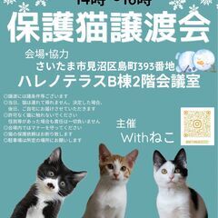 【さいたま市】2/18（日）ハレノテラス保護猫譲渡会