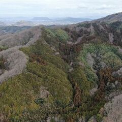 山林物件163　香川県高松市塩江町