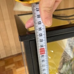 キジ　剥製 ガラスケース付 昭和レトロ 置物 アンティーク コレクション