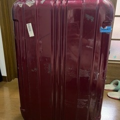 【無料】スーツケース（縦約60㎝、横約41㎝）