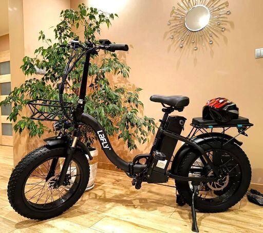 Lafly E-bike 電動自転車 1000W 48V 15ah