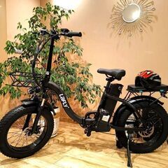 【ネット決済・配送可】Lafly E-bike 電動自転車 10...
