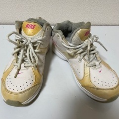 ナイキ AIR GAMBADE VIII MID WIDE 45...