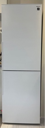 SHARP 310L冷蔵庫/ TOSHIBA10キロ洗濯機