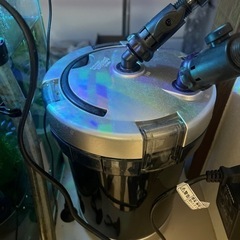 水槽全てセット　熱帯魚付き