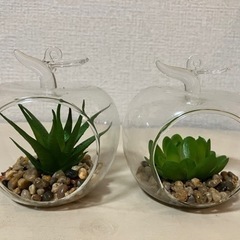 多肉植物　フェイクグリーン