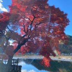 岐阜県美濃市  の画像