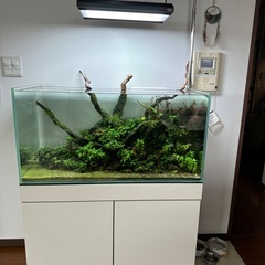ADA 90P water tank (W90×D45×H45) and set up