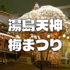 ライトアップされた梅の名所「湯島天神」と東京大学の散歩