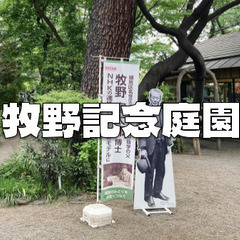 【牧野記念庭園】牧野富太郎の生涯と植物分類学の歴史を学びます♪の画像