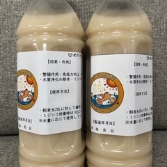 ikuめだかの乳酸菌❤️めだか好いとうばい♥️