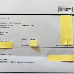 三遠ネオフェニックスvsアルバルク東京　2月10日観戦チケット(...