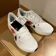 NIKEズームペガサス40　28.0ｃｍ