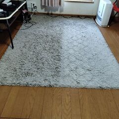 テレビの部屋のカーペット