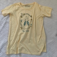 ピーターラビット　Tシャツ　レディースM