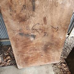 交渉中 ❇️難あり❇️一枚板