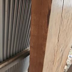 交渉中 ❇️難あり❇️一枚板